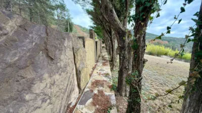 Detached family home in Tavèrnoles photo 27