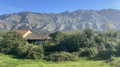 House on Calle Lugar Parres photo 12