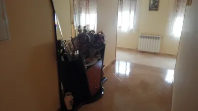 Miniatura 10