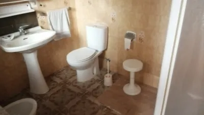 Miniatura 12