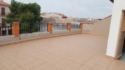Miniatura 10