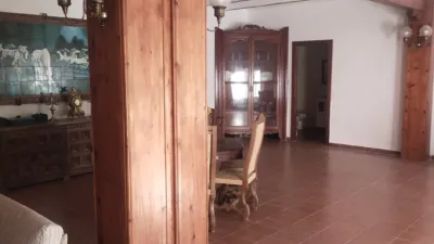 Miniatura 11