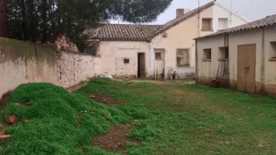 Miniatura 9