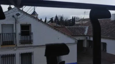 Miniatura 12