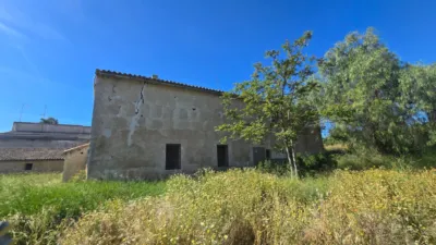House on Camino Casa Soldado photo 32