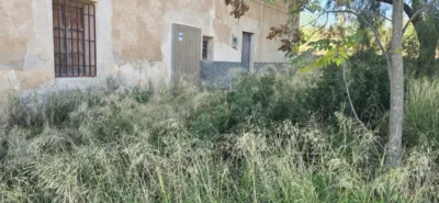 House on Camino Casa Soldado photo 4