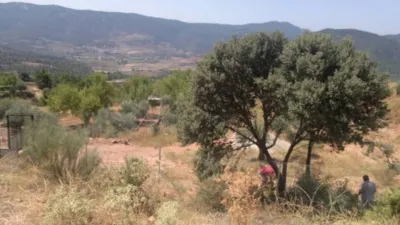 Terreno en venta en Bogarra - Vista 3