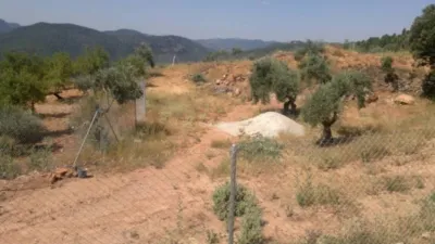 Terreno en venta en Bogarra - Vista 4