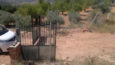 Terreno en venta en Bogarra - Vista 5