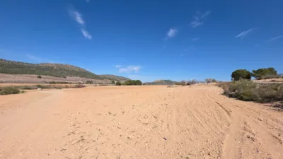 Rustic farm in Tobarra photo 17