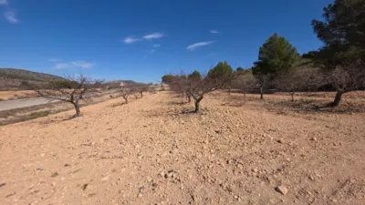 Rustic farm in Tobarra photo 5
