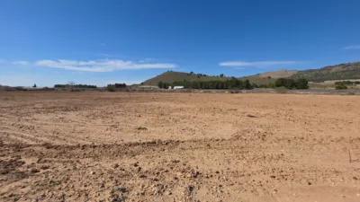Rustic farm in Tobarra photo 3