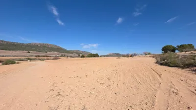 Rustic farm in Tobarra photo 18
