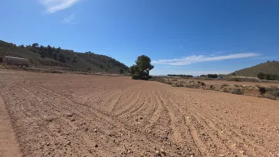 Rustic farm in Tobarra photo 15