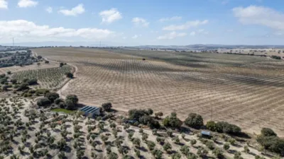 Rustic farm on El Cejo Street photo 34