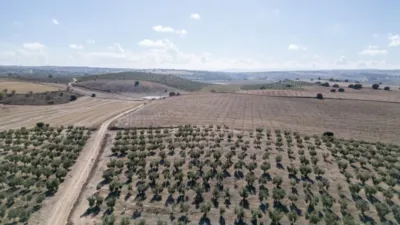 Rustic farm on El Cejo Street photo 14