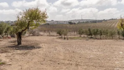 Rustic farm on El Cejo Street photo 19