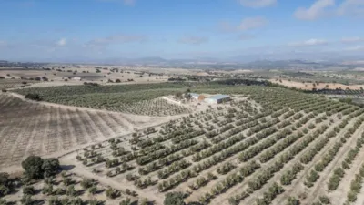 Rustic farm on El Cejo Street photo 33