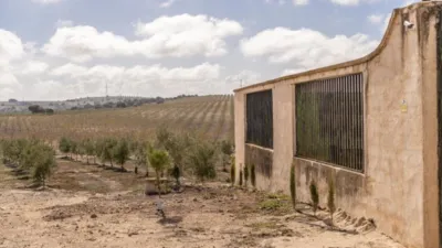 Rustic farm on El Cejo Street photo 21