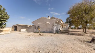 Rustic farm on El Cejo Street photo 29