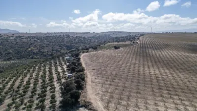 Rustic farm on El Cejo Street photo 2