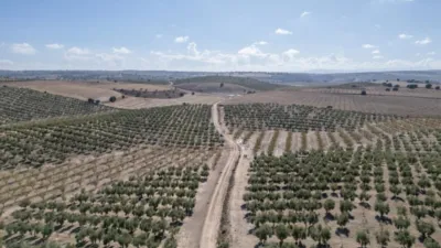 Rustic farm on El Cejo Street photo 17