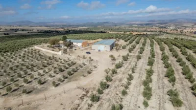 Rustic farm on El Cejo Street photo 30