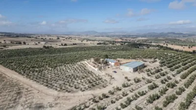 Rustic farm on El Cejo Street photo 35