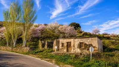 Rustic Finca on Calle Cañada Santa photo 13