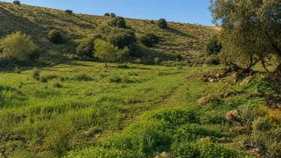 Rustic Finca on Calle Cañada Santa photo 7