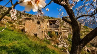 Rustic Finca on Calle Cañada Santa photo 2