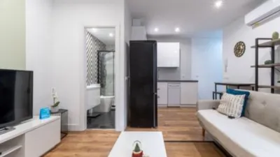 Apartment in Justicia-Chueca photo 4