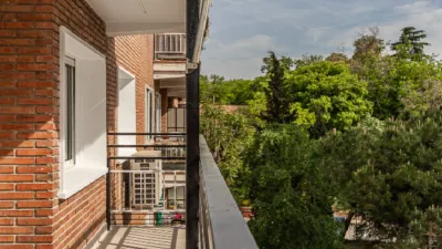 Apartment in Jerónimos photo 7