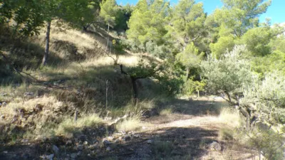 Casa - Més