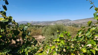 Casa - Más
