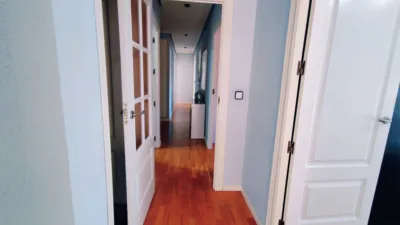 Apartment in Jumilla photo 10