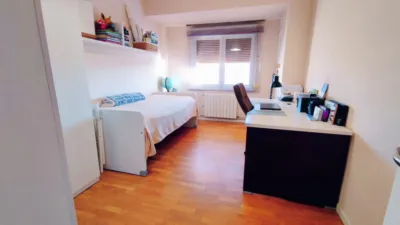 Apartment in Jumilla photo 14