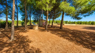 Chalet in Santa Ana photo 8