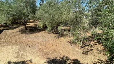 Casa en venta en Carrer del Molí - More