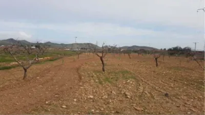 Rustic Finca in Pasaje los Puertos photo 3
