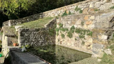 Rustic finca in Sales de Llierca photo 18