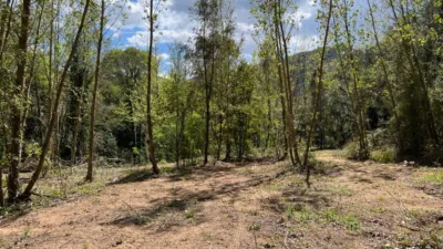 Rustic Finca in Vilanova de Sau photo 10