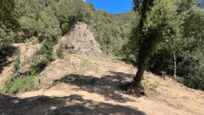 Rustic Finca in Vilanova de Sau photo 14
