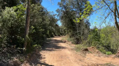 Rustic Finca in Vilanova de Sau photo 6
