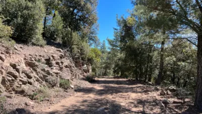 Rustic Finca in Vilanova de Sau photo 8