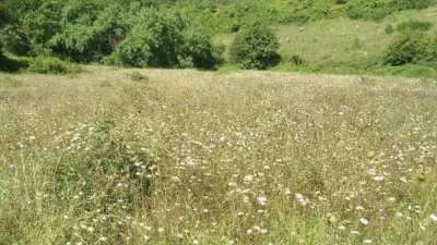 Rustic farm in La Vall de Bianya photo 5