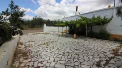 Rustic Finca in Tabernas photo 13