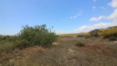 Rustic Finca in Tabernas photo 16