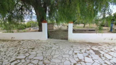 Rustic Finca in Tabernas photo 46