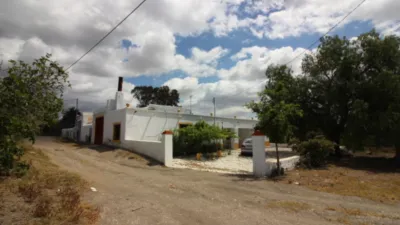 Rustic Finca in Tabernas photo 5